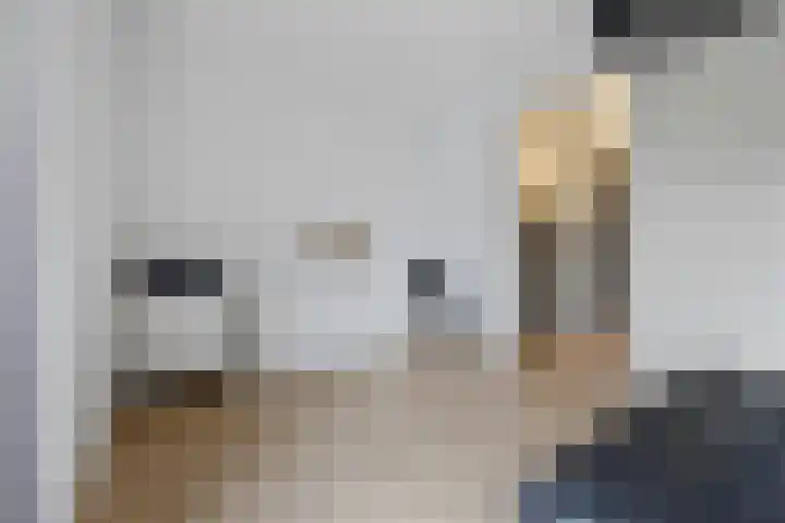 Fruithoeve 41 Arnhem thumbnail 24