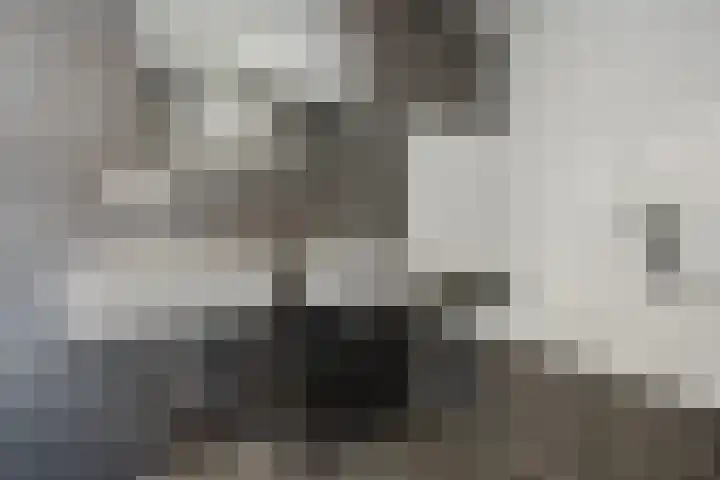 Fruithoeve 41 Arnhem thumbnail 25