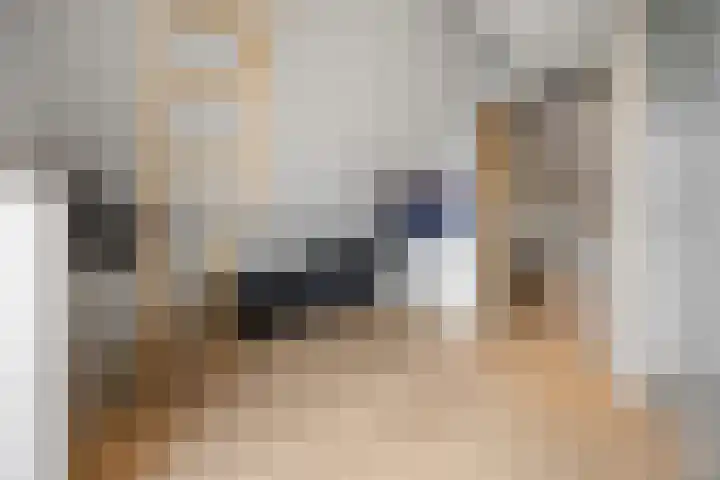 Fruithoeve 41 Arnhem thumbnail 32