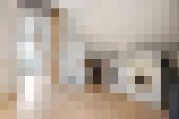Fruithoeve 41 Arnhem thumbnail 34