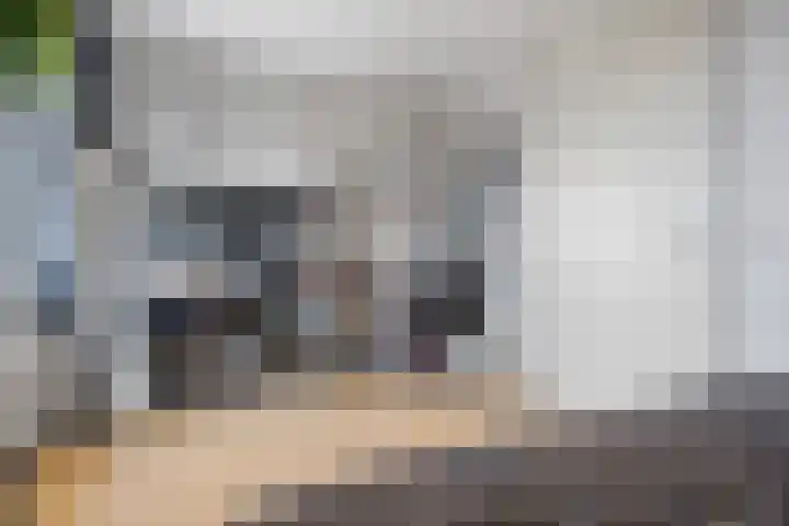 Fruithoeve 41 Arnhem thumbnail 35