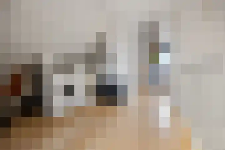 Fruithoeve 41 Arnhem thumbnail 37