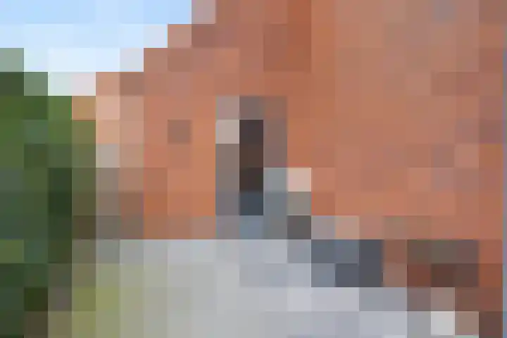 Fruithoeve 41 Arnhem thumbnail 39