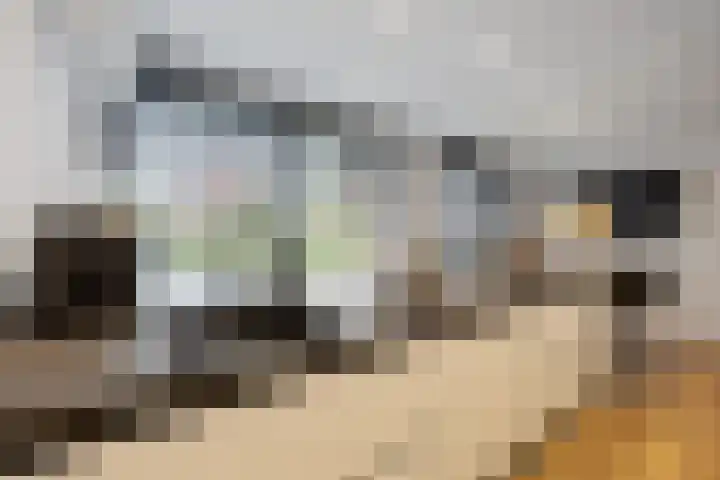 Fruithoeve 41 Arnhem thumbnail 9