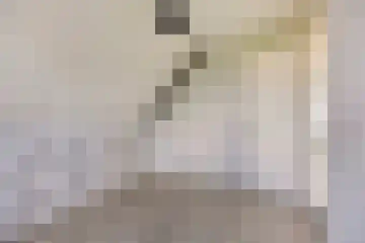 Fruithof 25 Ingen thumbnail 25