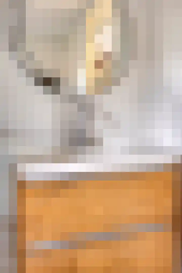 Fruithof 25 Ingen thumbnail 28