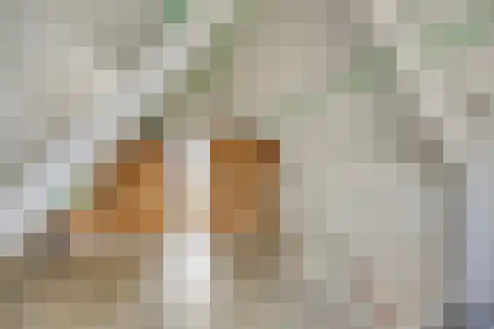 Fruithof 25 Ingen thumbnail 31