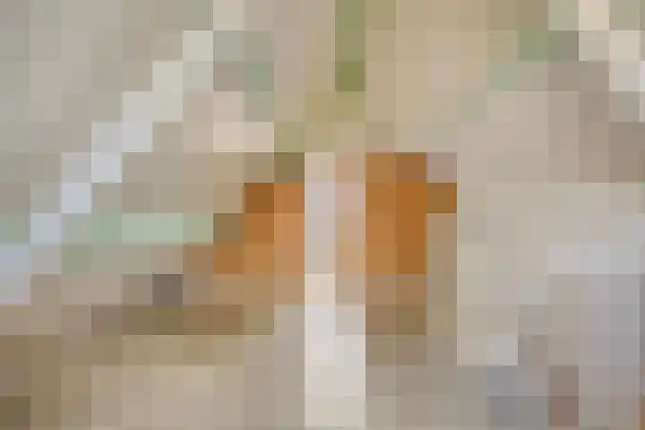 Fruithof 25 Ingen thumbnail 32