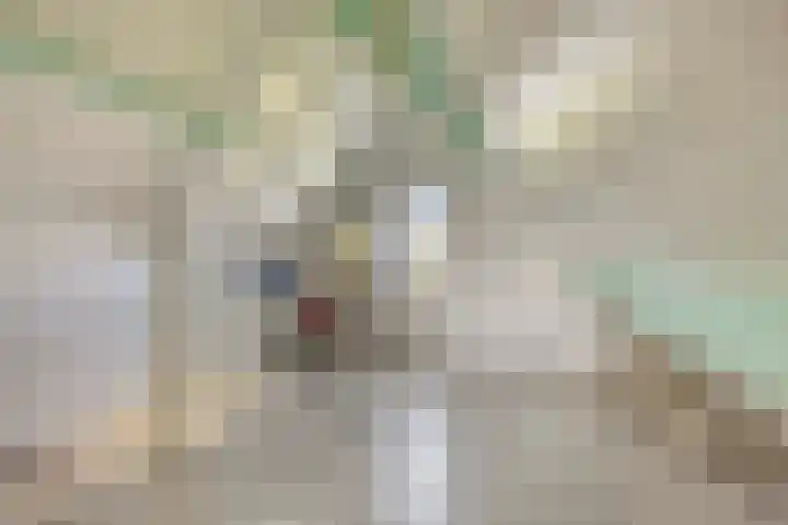 Fruithof 25 Ingen thumbnail 34