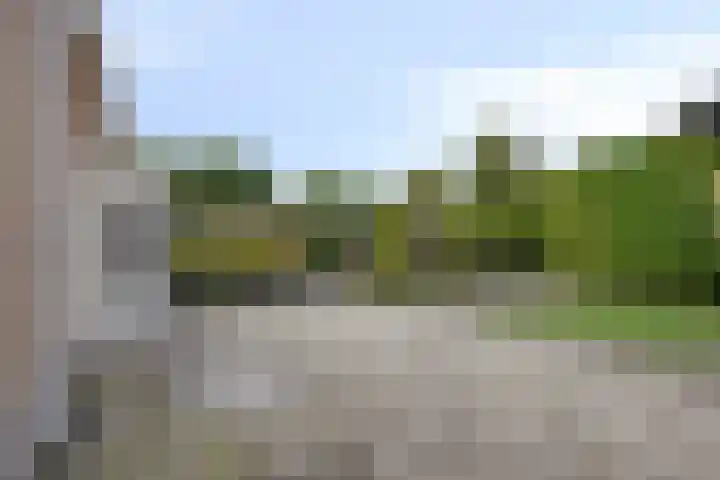 Fruithof 25 Ingen thumbnail 37