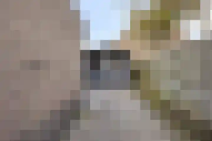 Fruithof 25 Ingen thumbnail 39