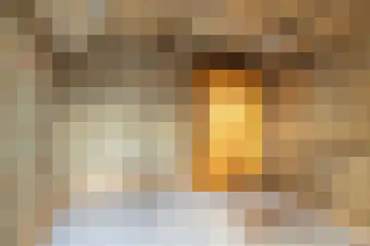 Fruithof 25 Ingen thumbnail 43