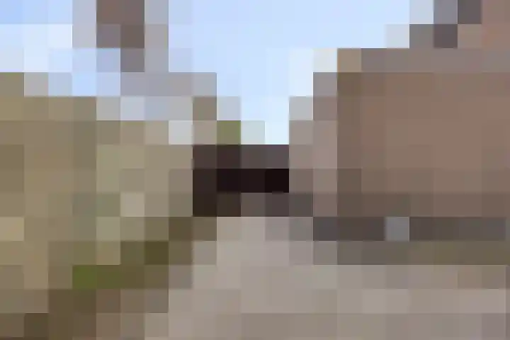 Fruithof 25 Ingen thumbnail 47