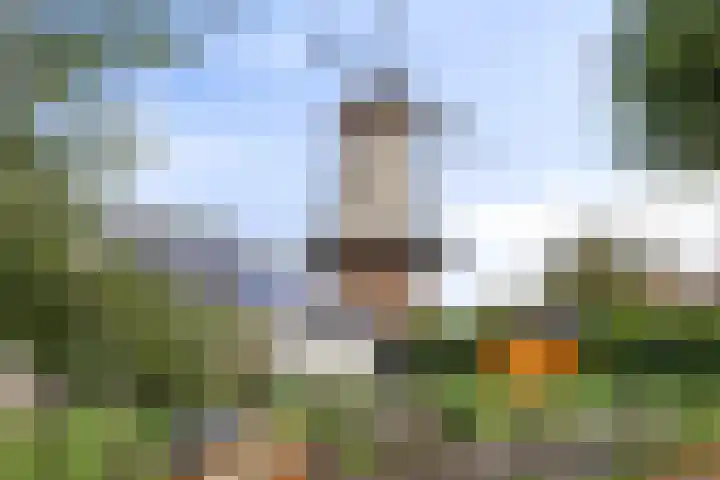 Fruithof 25 Ingen thumbnail 48