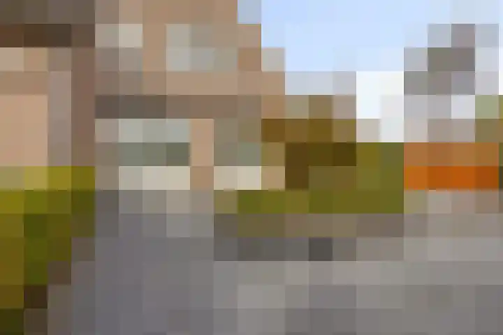 Fruithof 25 Ingen thumbnail 54