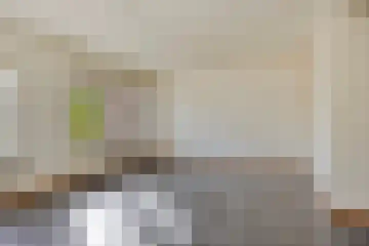 Fruithof 25 Ingen thumbnail 8