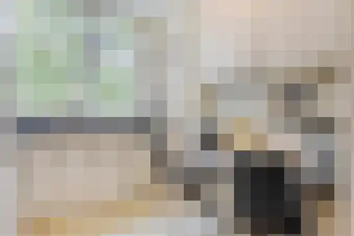 Fruitlaan 10 Goes thumbnail 13