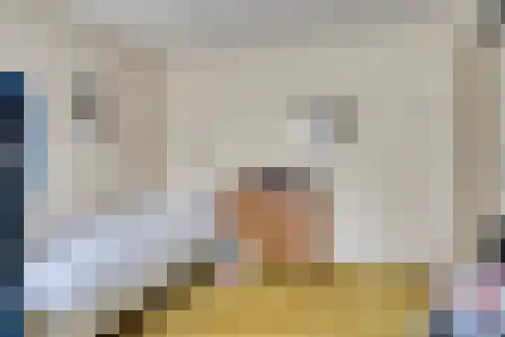 Fruitlaan 10 Goes thumbnail 23