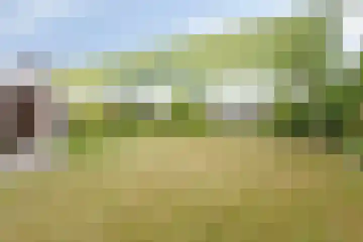 Fruitlaan 10 Goes thumbnail 29