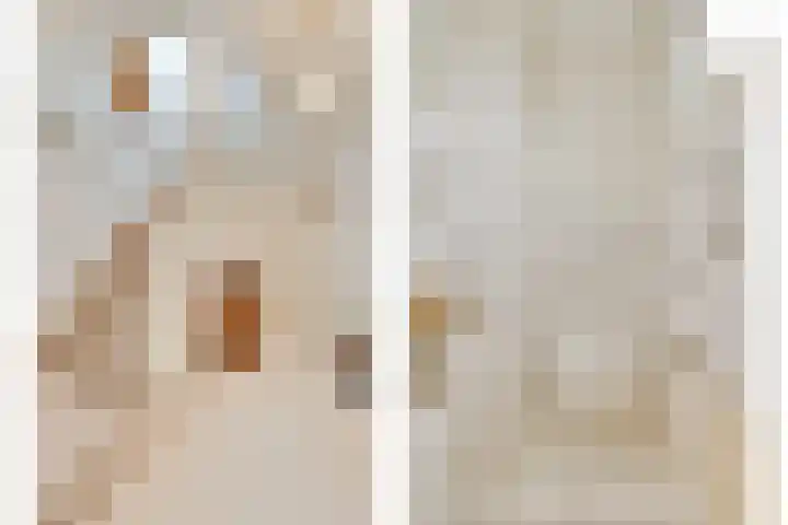 Fruitlaan 10 Goes thumbnail 7