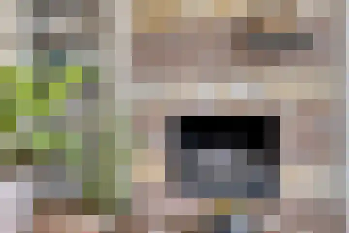Fruitlaan 10 Goes thumbnail 9