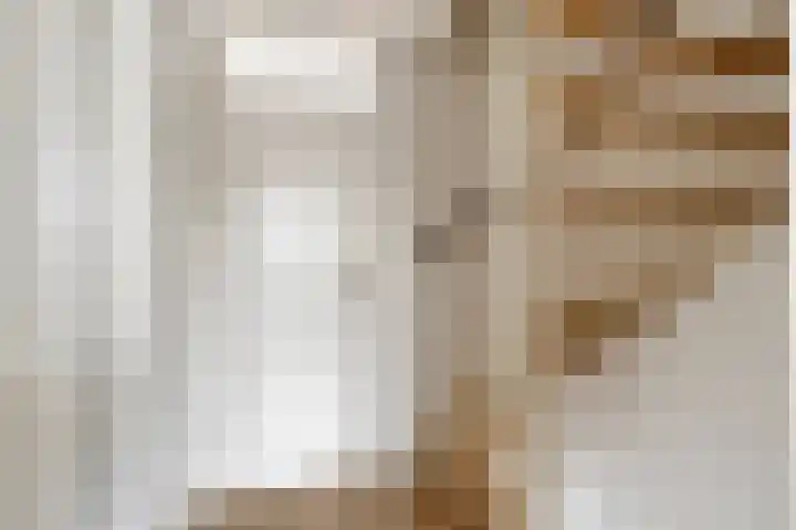 Fruitlaan 33 Zwaag thumbnail 17