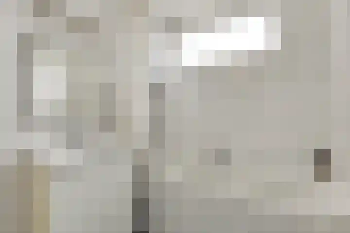 Fruitlaan 33 Zwaag thumbnail 20