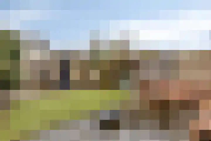 Fruitlaan 33 Zwaag thumbnail 29