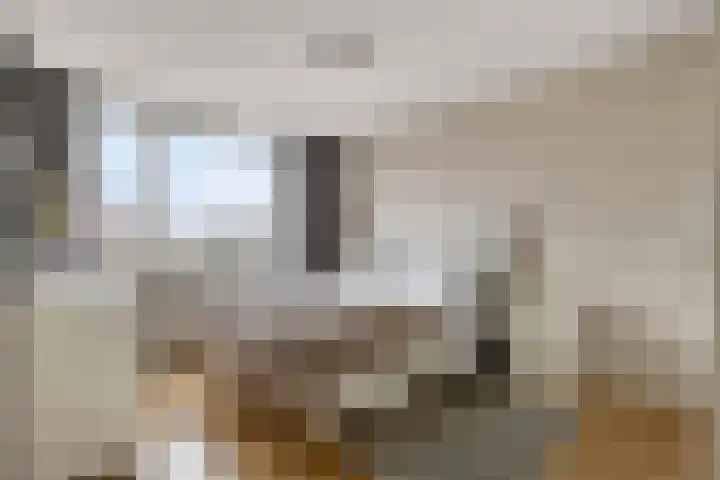 Fruitlaan 33 Zwaag thumbnail 4