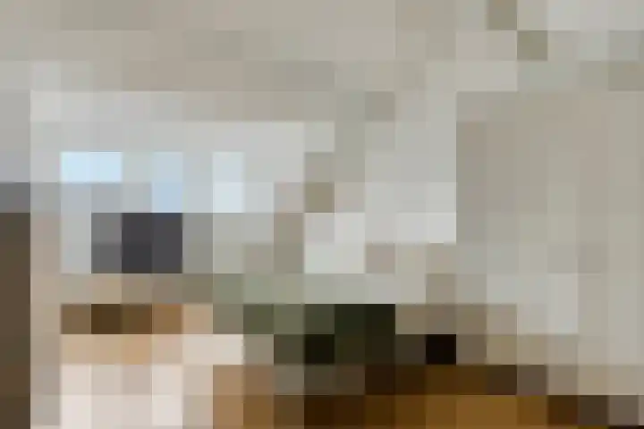 Fruitlaan 33 Zwaag thumbnail 5