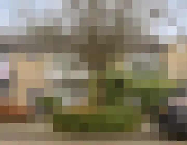Fruitlaan 33 Zwaag thumbnail 6