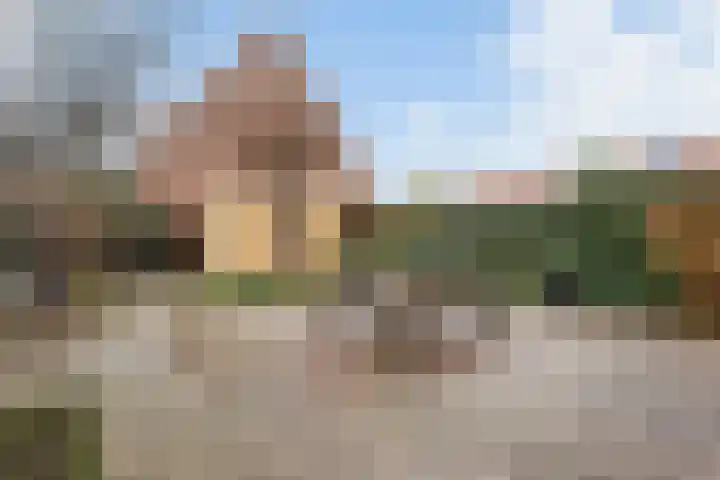 Fruitlaan 49 Wateringen thumbnail 25