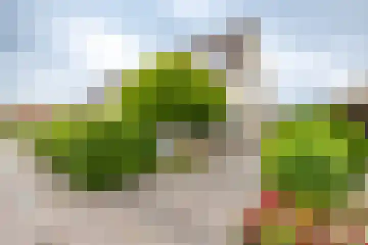 Fruitlaan 61 en Loppersum