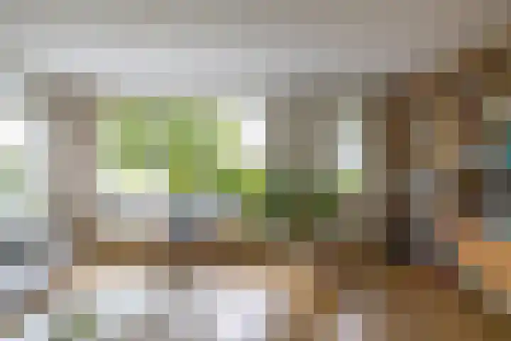Fruitlaan 61 Loppersum thumbnail 12