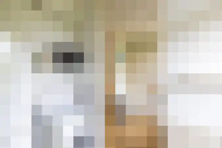 Fruitlaan 61 Loppersum thumbnail 17