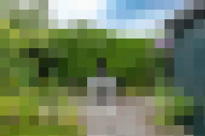 Fruitlaan 61 Loppersum thumbnail 21