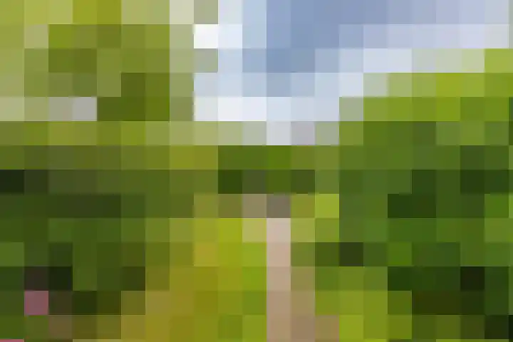 Fruitlaan 61 Loppersum thumbnail 4