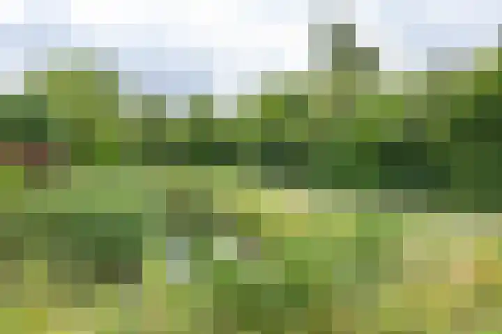 Fruitlaan 61 Loppersum thumbnail 40