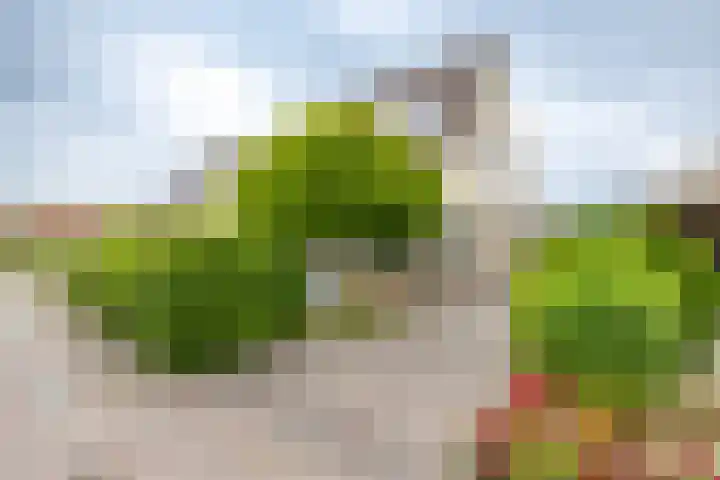 Fruitlaan 61 Loppersum thumbnail 45