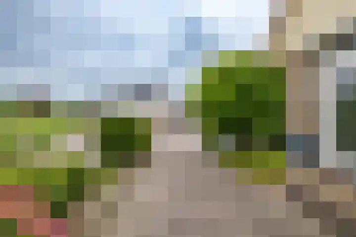 Fruitlaan 61 Loppersum thumbnail 7