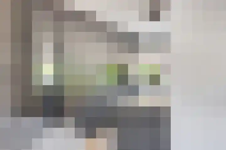 Fruitlaan 89 Wateringen thumbnail 10