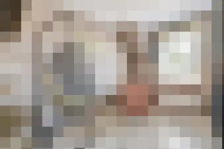 Fruitlaan 89 Wateringen thumbnail 16