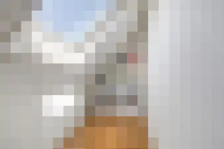 Fruitlaan 89 Wateringen thumbnail 20