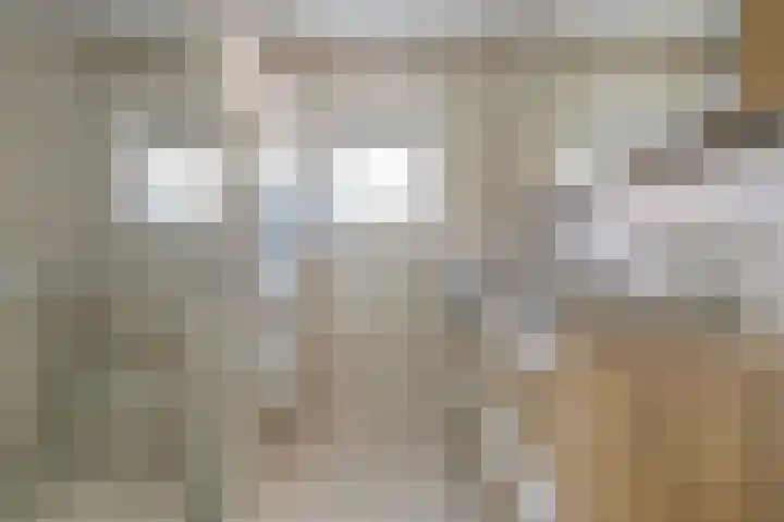 Fruitlaan 89 Wateringen thumbnail 21