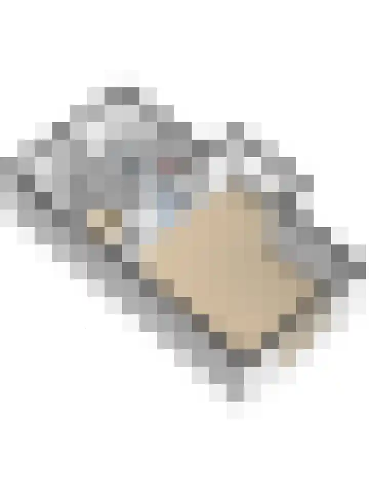 Fruitlaan 89 Wateringen thumbnail 38
