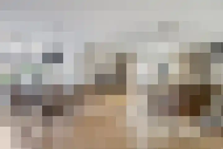 Fruitlaan 89 Wateringen thumbnail 4