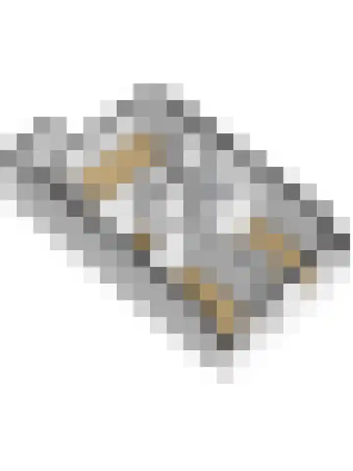 Fruitlaan 89 Wateringen thumbnail 40