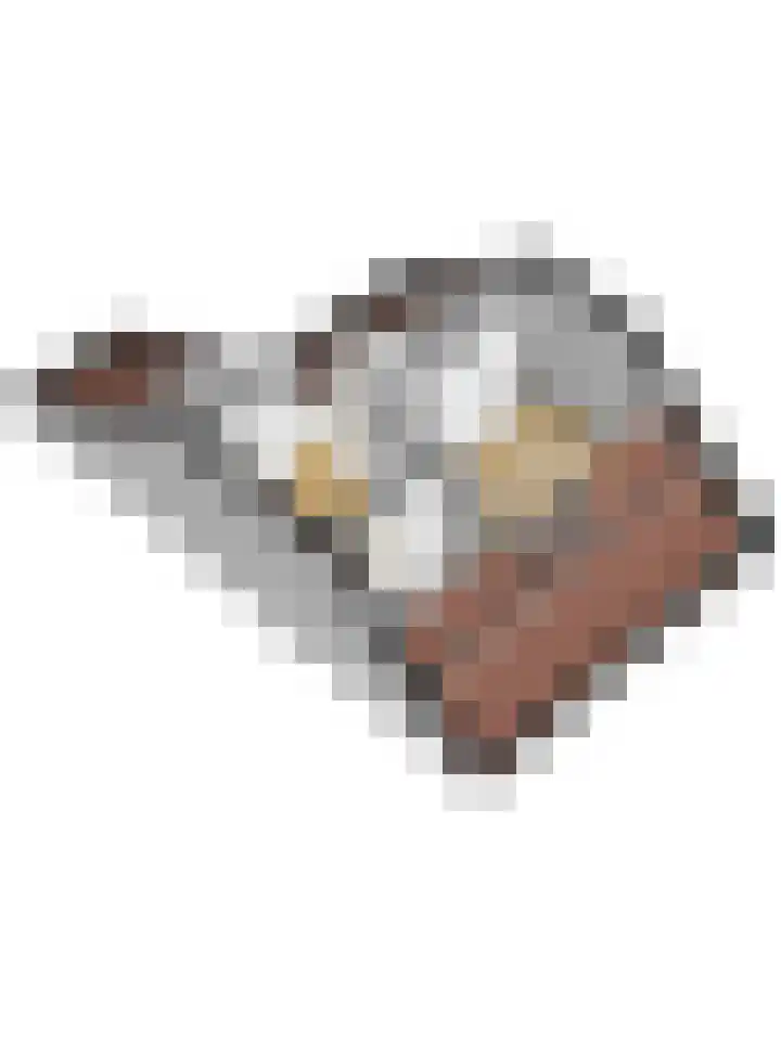 Fruitlaan 89 Wateringen thumbnail 42