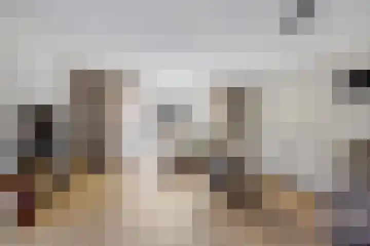 Fruitlaan 89 Wateringen thumbnail 6