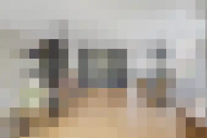 Fruitlaan 89 Wateringen thumbnail 7